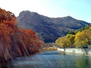 新澳天天彩免费资料大全查询，中央空调加氟